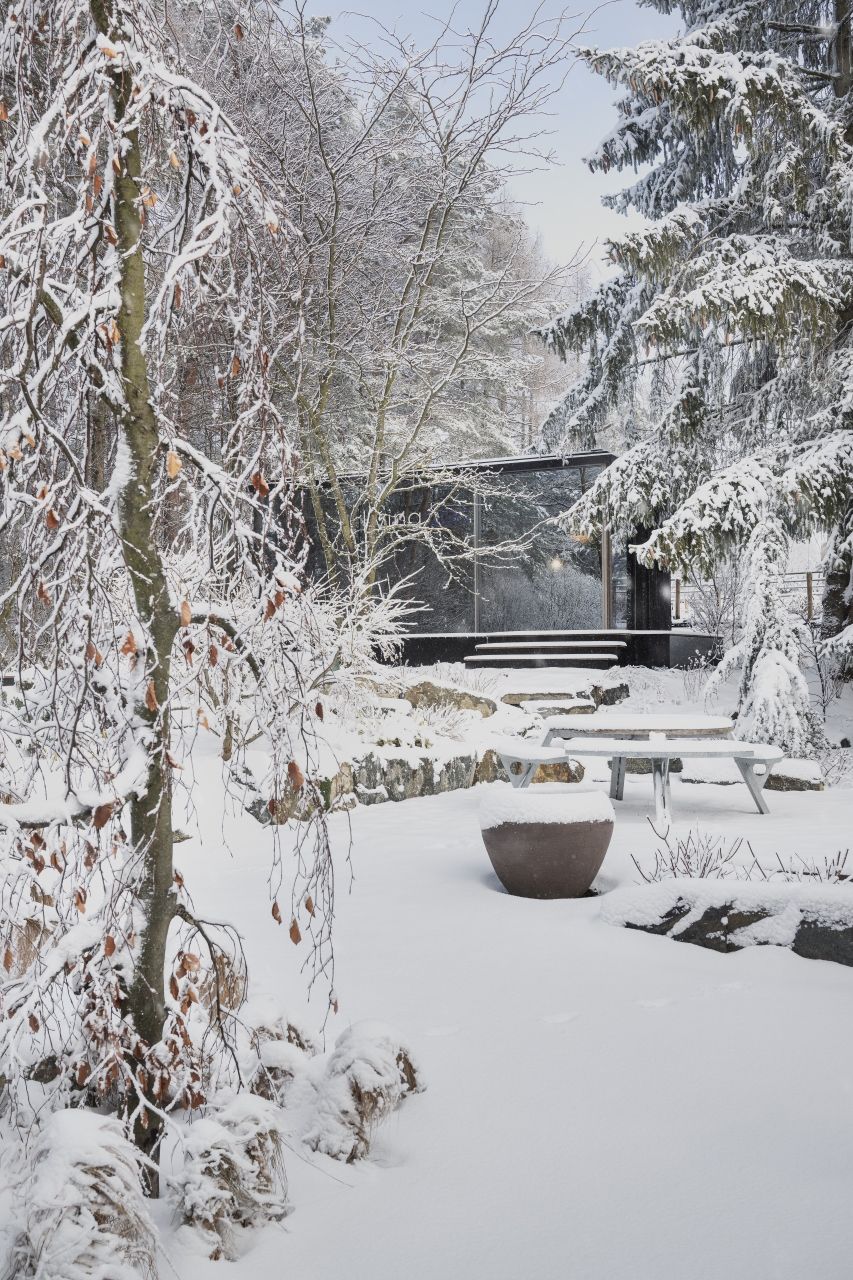 Spiegelhaus Livingglas Winter